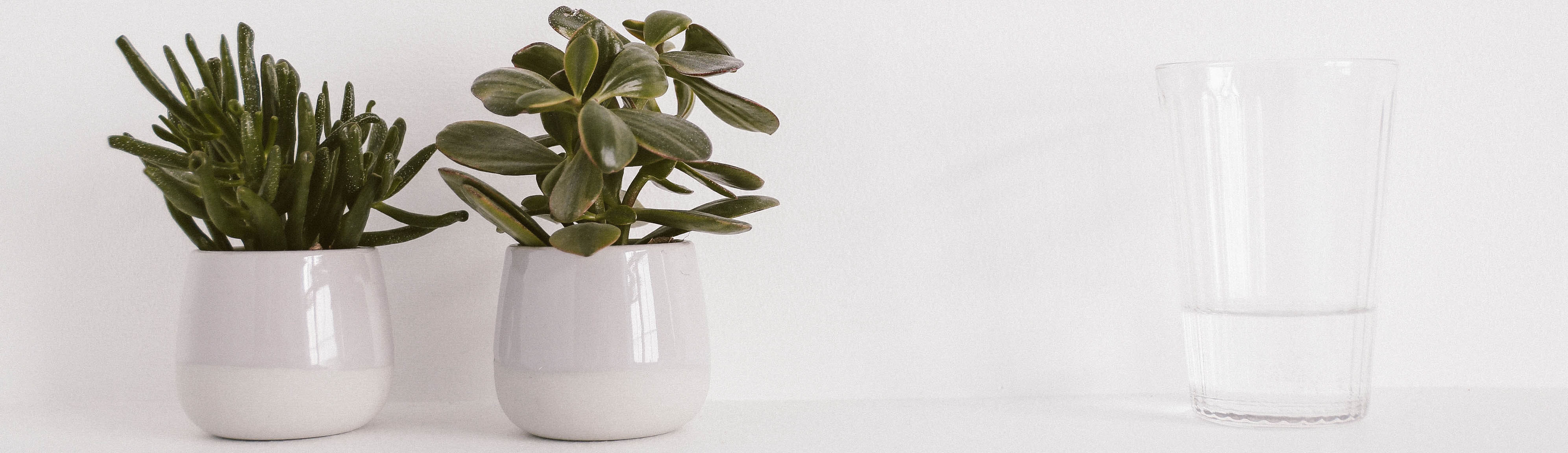 還原水機 Enagic-The Benefits of Drinking Kangenwater