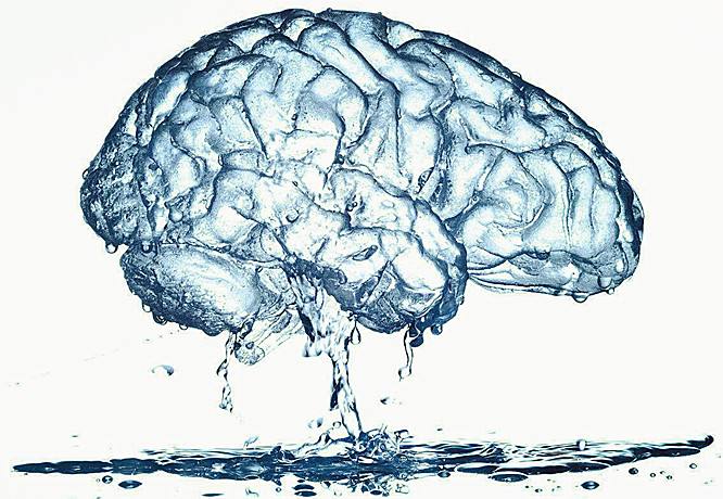 還原水機 飲水對大腦竟然有這麼大影響？！