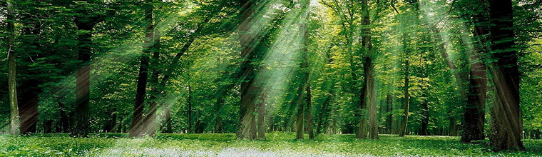 還原水機 Enagic®環境責任