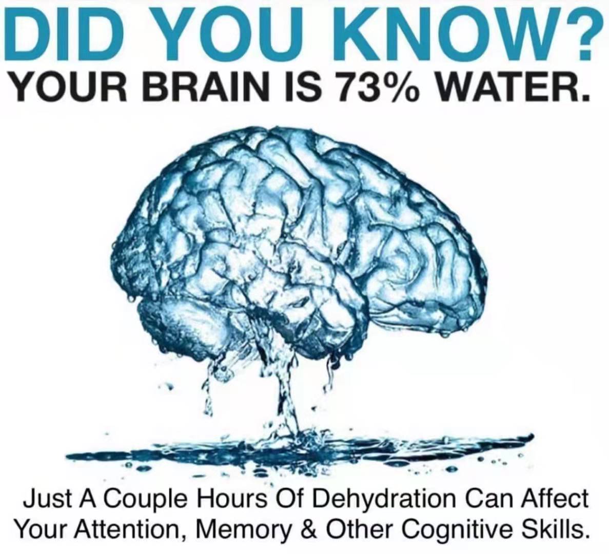 水對大腦影響