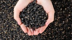 還原水機 “花青素时代”已到，这类人群一定要试试！